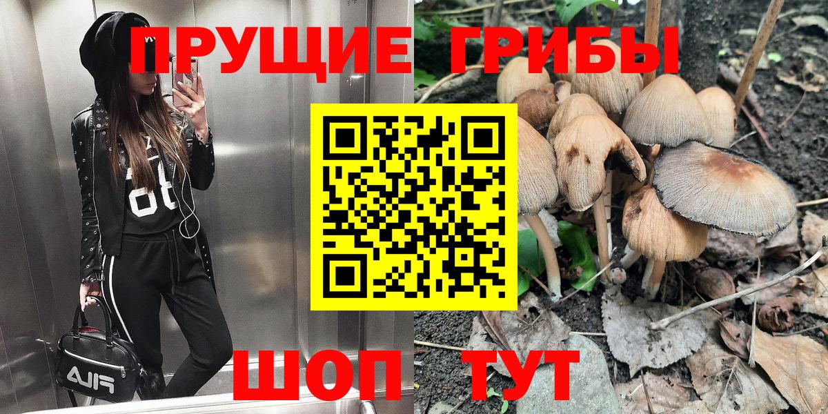 магазин продажи   Галлюциногенные грибы MAGIC MUSHROOMS  Вход с VPN  Галлюциногенные грибы Magic Shrooms  Анжеро-Судженск 